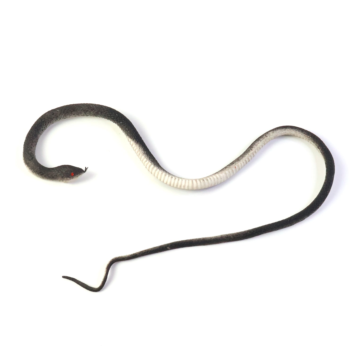 Rubber Snake